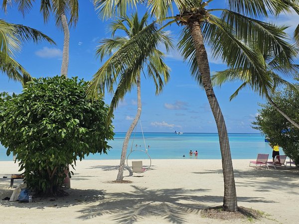 Comment organiser une croisière pour découvrir les fjords norvégiens en voilier?